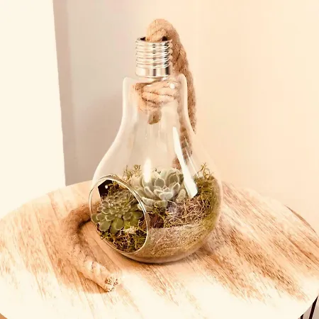 Oupen De Dor San Blas *