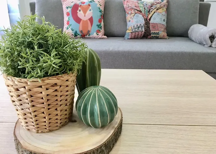 Oupen De Dor San Blas * Zaragoza